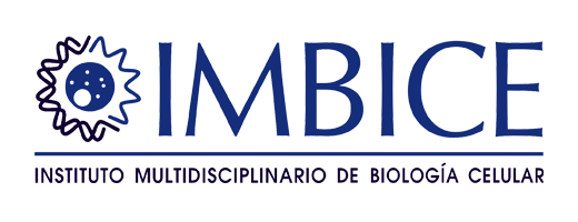 Imbice